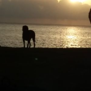 Meet your Posher, Deby